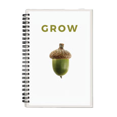 Grow Acorn 