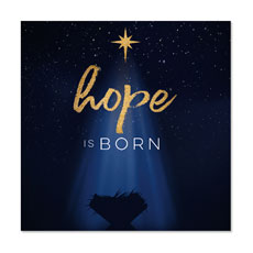 Christmas Star Hope is Born 