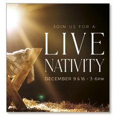 Live Nativity Manger 