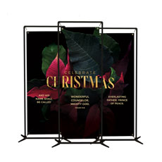 Christmas Poinsettia Triptych 